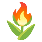 tulipán + fuego