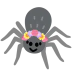 Tulpe + Spinne