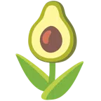 Tulpe + Avocado