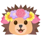 tulipán + erizo