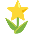 tulipán + estrella
