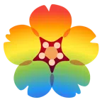 Kirschblüte + Regenbogen