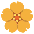 Kirschblüte + Hotdog