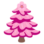 Kirschblüte + Nadelbaum