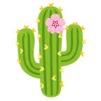 Kirschblüte + Kaktus