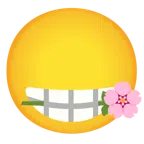 Kirschblüte + Rose