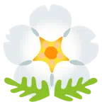 Kirschblüte + gelbe Blüte