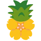 Kirschblüte + Ananas