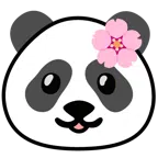 Kirschblüte + Panda