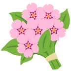 Kirschblüte + Blumenstrauß