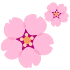 Kirschblüte + zwei Herzen