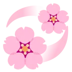 Kirschblüte + kreisende Herzen