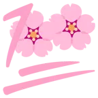 Kirschblüte + 100 Punkte