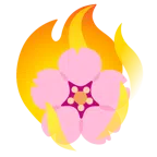 Kirschblüte + Feuer
