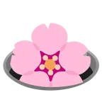 Kirschblüte + Loch