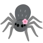 Kirschblüte + Spinne