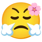 Kirschblüte + schnaubendes Gesicht