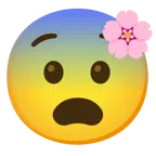 Kirschblüte + ängstliches Gesicht