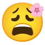 Kirschblüte + erschöpftes Gesicht