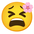 Kirschblüte + müdes Gesicht