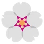 Kirschblüte + weißes Herz