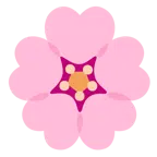 Kirschblüte + Herz