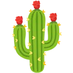 rosa + cactus