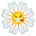 rosa + flor