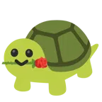 rosa + tortuga