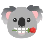 rosa + koala