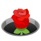 rosa + agujero