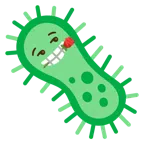 rosa + microbio