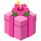 regalo + ibisco