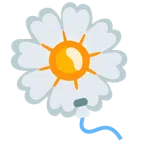 palloncino + fiore