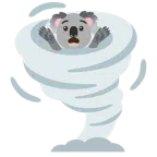 Koala + Wirbelsturm