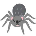 Koala + Spinne