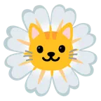 Katzengesicht + gelbe Blüte