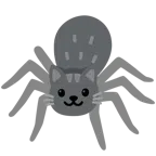 Katzengesicht + Spinne