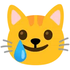 Katzengesicht + lachendes Gesicht mit Träne