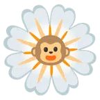 Affengesicht + gelbe Blüte