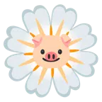 Schweinegesicht + gelbe Blüte