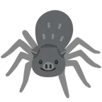 Schweinegesicht + Spinne
