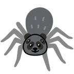 Panda + Spinne
