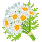 ramo de flores + flor