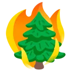 Feuer + Nadelbaum