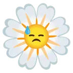 downcast face with sweat + blossom