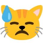 downcast face with sweat + cat face