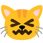 cara de frustración + cara de gato