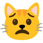 cara preocupada + cara de gato