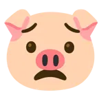 cara preocupada + cara de cerdo